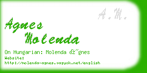 agnes molenda business card